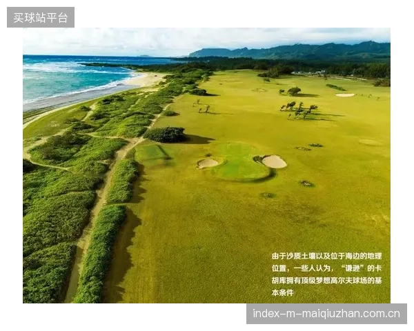 租赁而非购买：对于预算有限的球场，设备租赁模式是否是实现土壤数字化调控的更优解？
